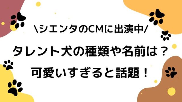 シエンタcm 犬の犬種はポメプー 名前は長十桜で車より可愛いと話題 Dig Out